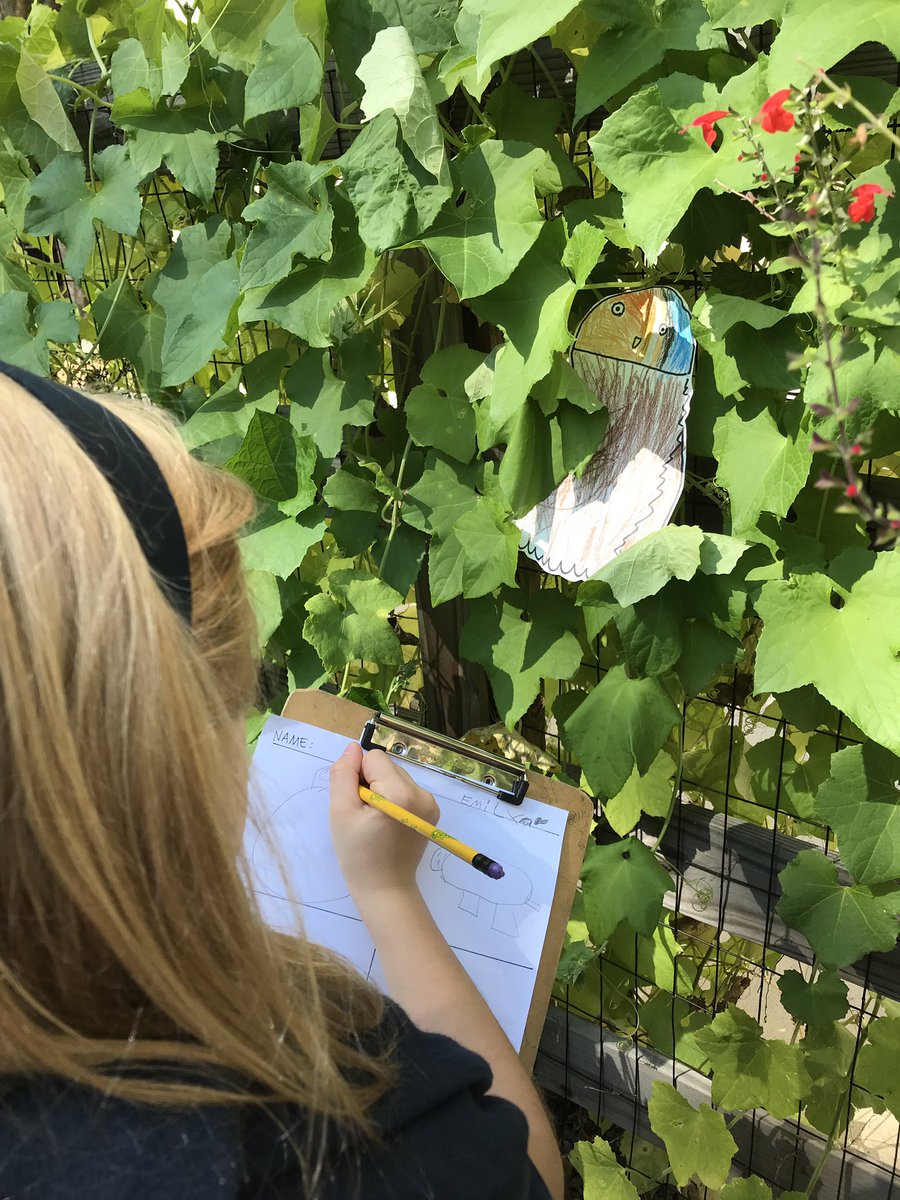 MakeSomeArt's tweet image. Hiding and drawing Kdg animals in the Trinity garden. #TrinityLearns These kids are camouflage experts now! @MsT_trinity