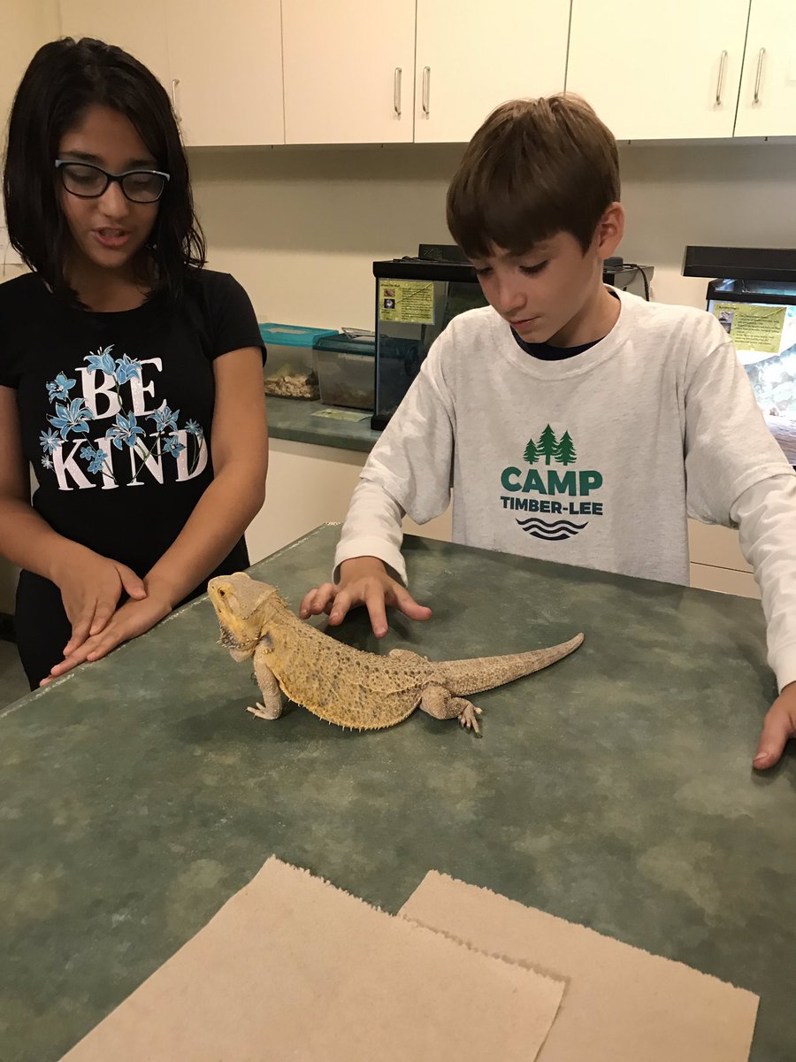 Jessica Lambert tweet media