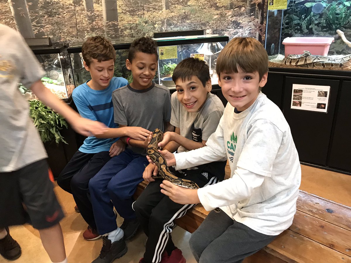 Jessica Lambert tweet media