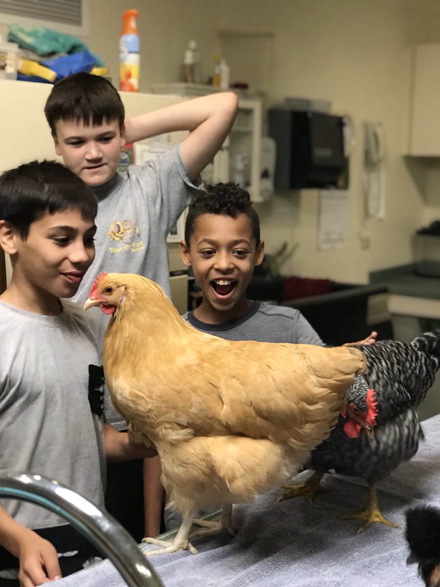 Jessica Lambert tweet media