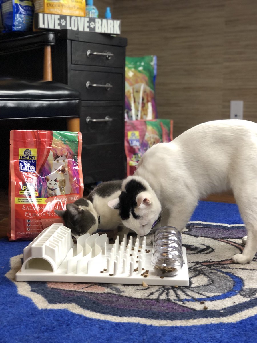 Mom calls it “mental stimulation”. I call it a delay in getting my breakfast 😸