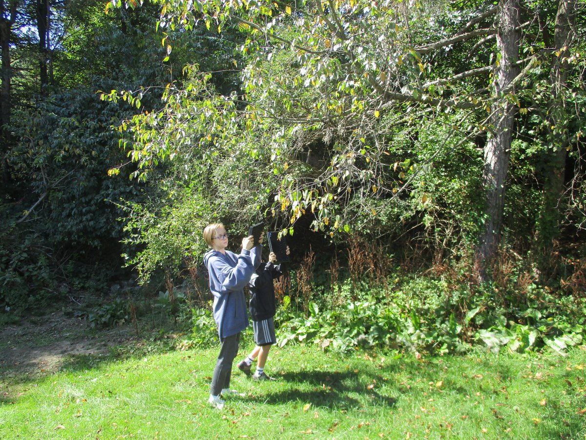 Park Forest MS tweet media