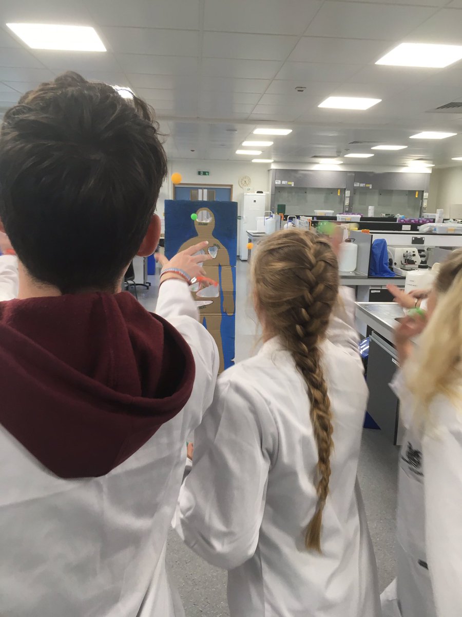 DrMattSimmonds's tweet photo. Really fab week welcoming our new Biomedical Sciences first years. Impressed to see everyone enjoy our Lab Olympics today &amp; undertake ‘scientific’ team building through the medium of throwing ping pong balls at organs affected by different diseases @UoLLifeSciences @UoLScience https://t.co/MqL4jPc5VA