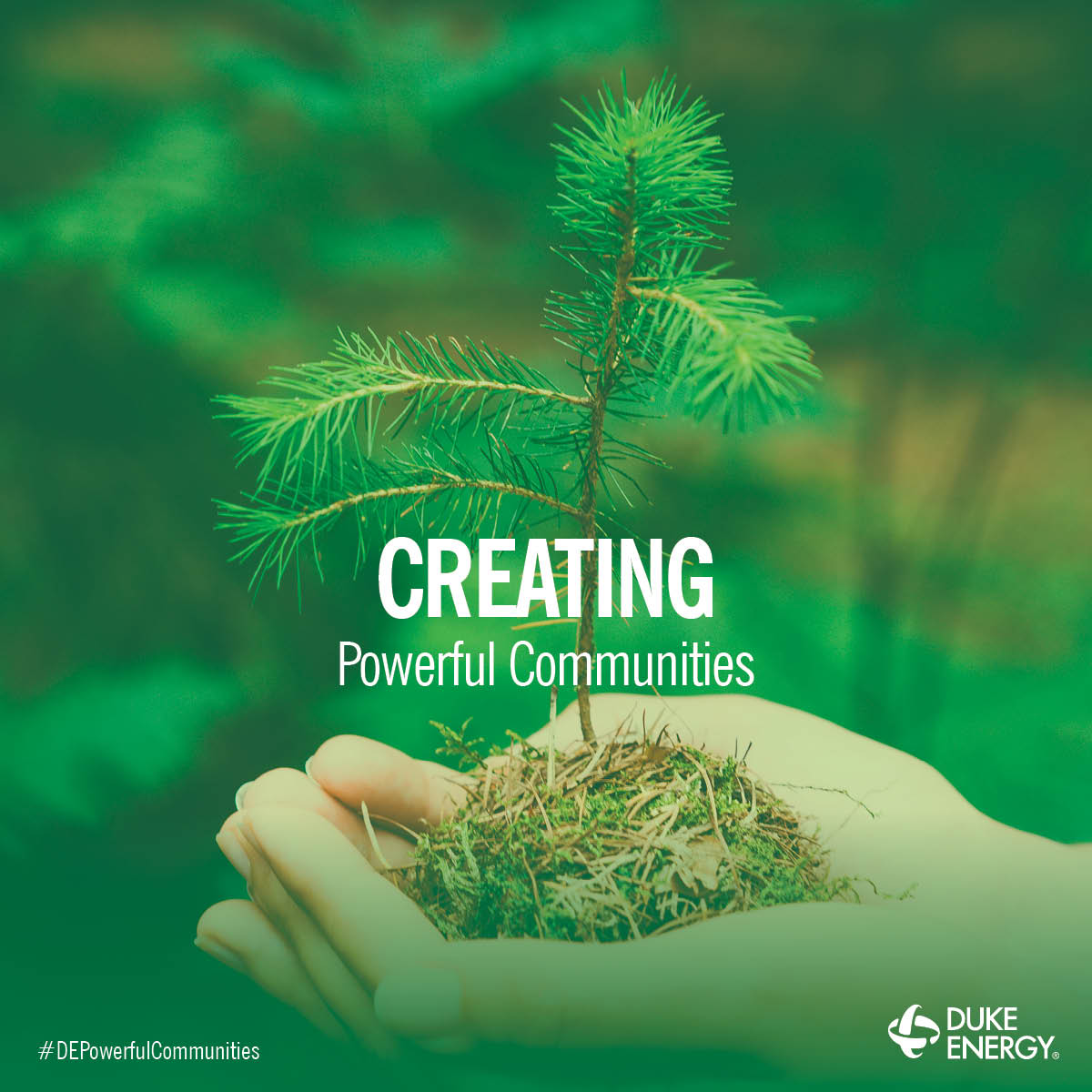 Taking Root tweet media