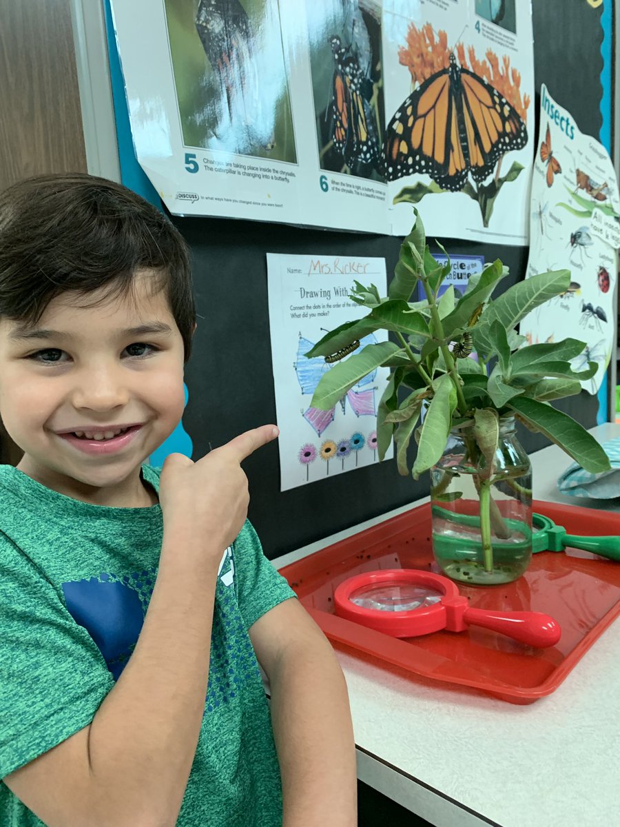 Look mommy the caterpillar is a J now! #mindsgrowing #TvTigers2019 <a href="/bowmanm21/">Michael Bowman, MEd</a> <a href="/DeAnnaSMartin/">DeAnna Martin</a> <a href="/drlanaluttrell/">Lana Luttrell</a>