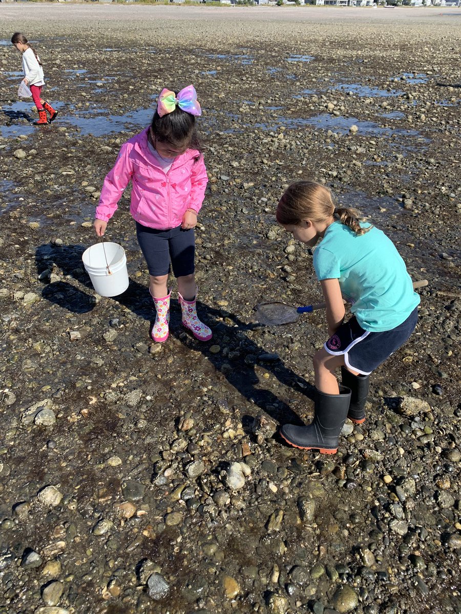 ncw1332's tweet photo. Exploring the tide pools @CTAudubon #FirstFieldTripOfTheYear #MakingLearningExcitingAndEngaging #FirstGradeIsFUNtastic https://t.co/qji7fubQwf