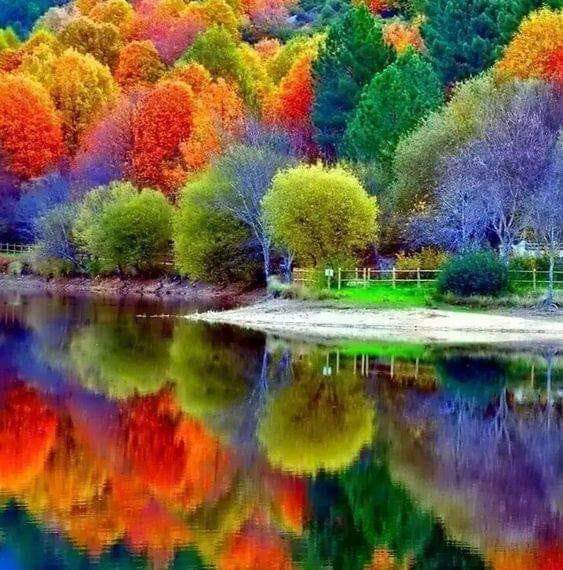 Gurbetci (@gurbetc24894453) on Twitter photo 