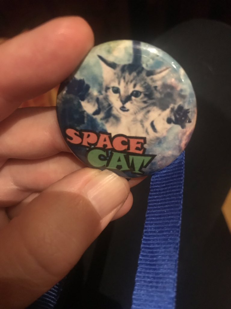 plantylibrarian's tweet photo. Space cat is best cat #CALCON2019 https://t.co/L1lrJB6zkd