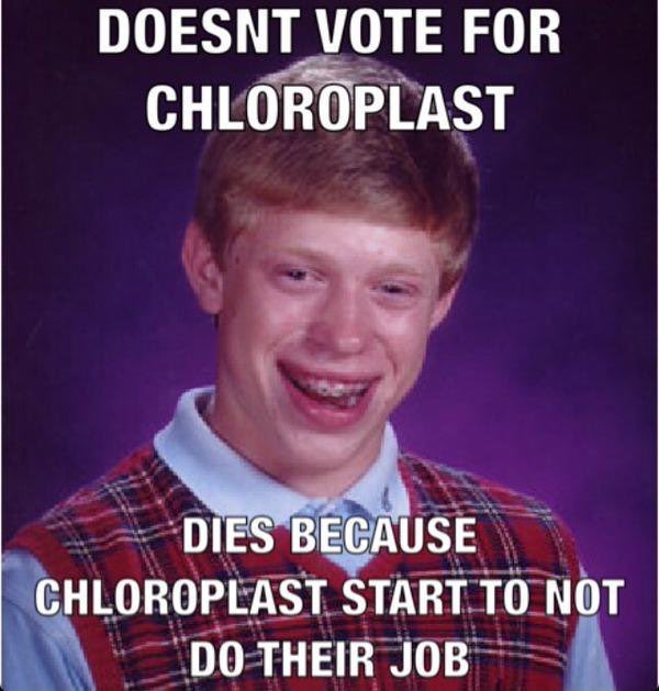 Chloroblast2019's tweet photo. #nhsorganellecampaign2019 https://t.co/1fyOf9TwFP