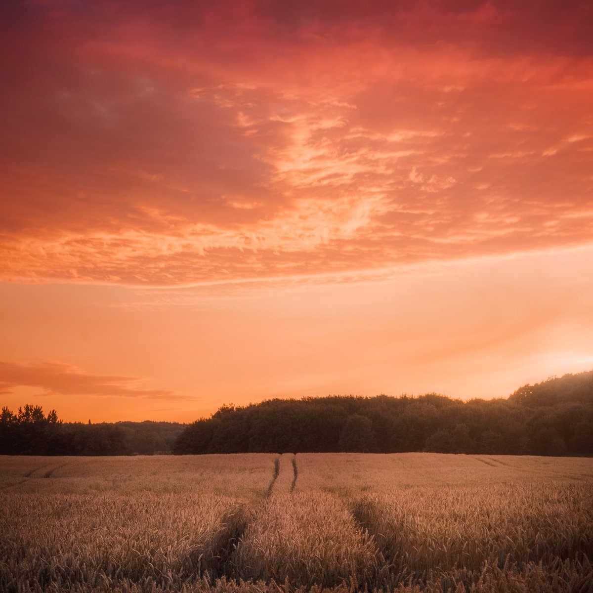 BritRail's tweet photo. It's the perfect time of year to take in the colours of the English countryside, just be sure to grab a window seat! 🍂 #FridayFeeling #Autumn #traveling #England https://t.co/kGsPytdSwk