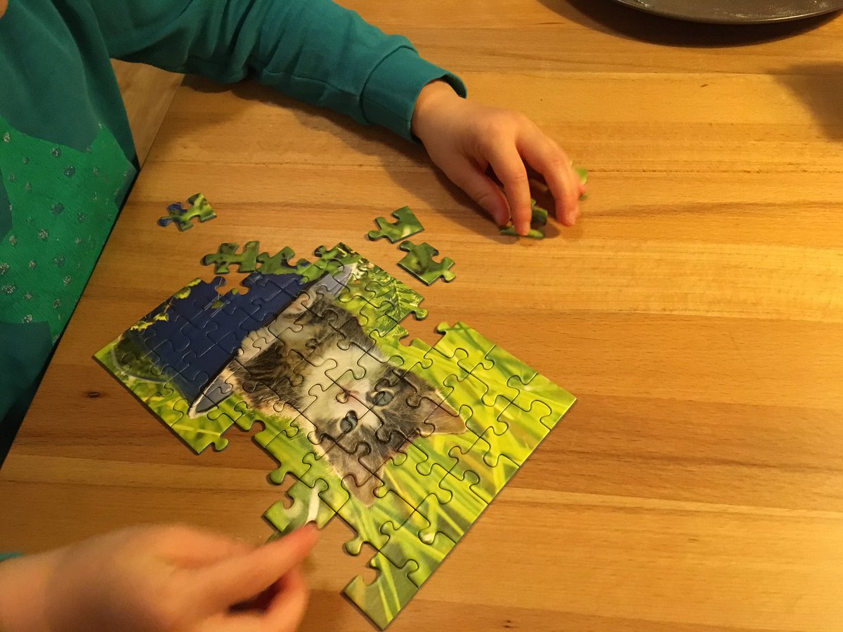 SaraNanni's tweet photo. Vor dem Schlafen Katzenpuzzle puzzeln und meine Tochter (4) singt „Wir sind hier, wir sind laut, weil ihr uns die Zukunft klaut.“ vor sich hin...
Ganz fröhlich. weil sie gar nicht versteht was #klimakrise heißt.
Mit bricht das Herz. #alleforfuture #FFF https://t.co/kBgJj34r8Z