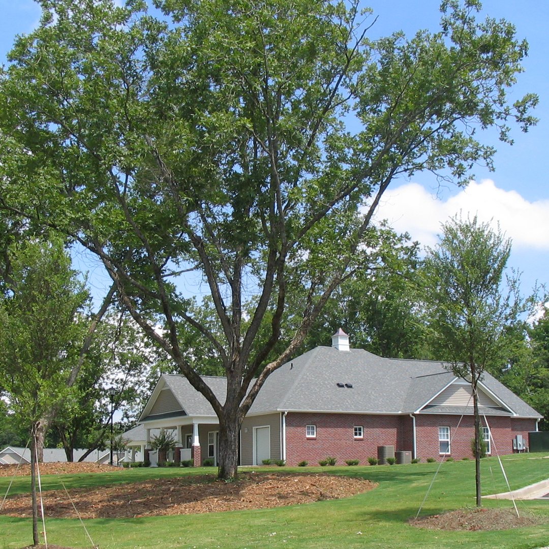 mercyhousing's tweet photo. Orchard Grove is home to 60 families in Madison, Georgia
#HomeIsHope https://t.co/i6cnbBuR74