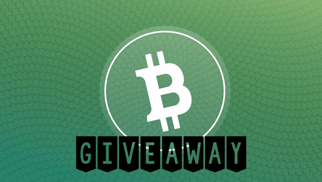 Kristina Crypto tweet media