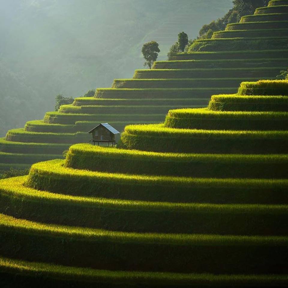 Benjamin de Ulloa 🇨🇱🇮🇱 (@benja7) on Twitter photo 