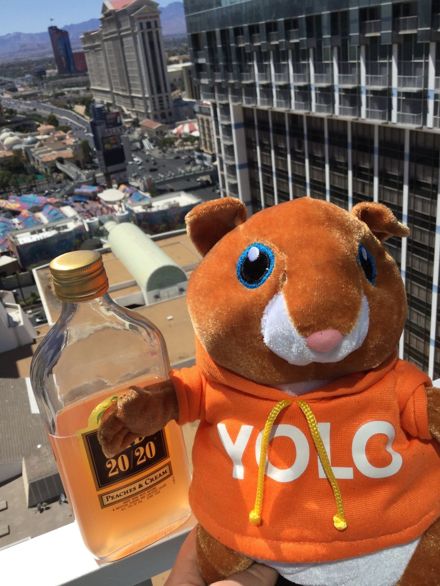 SecYoloBear's tweet photo. JUST WOKE UP! I'M OFF TO #StormingArea51 AND FREE THE ALIENS STUCK IN CAGES! FIRST I NEED TO FINISH BREAKFAST AND PICK UP SOME SUPPLIES! I HOPE I'M NOT TOO LATE! https://t.co/9SqUQjmhZW