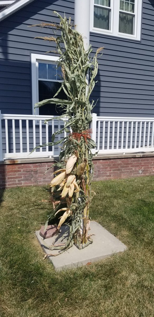 Bnbcreativeco's tweet photo. Thanks to Window World of Columbus for having B&amp;B Creative #fallyall your business! #pioneer #farming #corniscool #fall #decor https://t.co/8F6Q1zd6iT