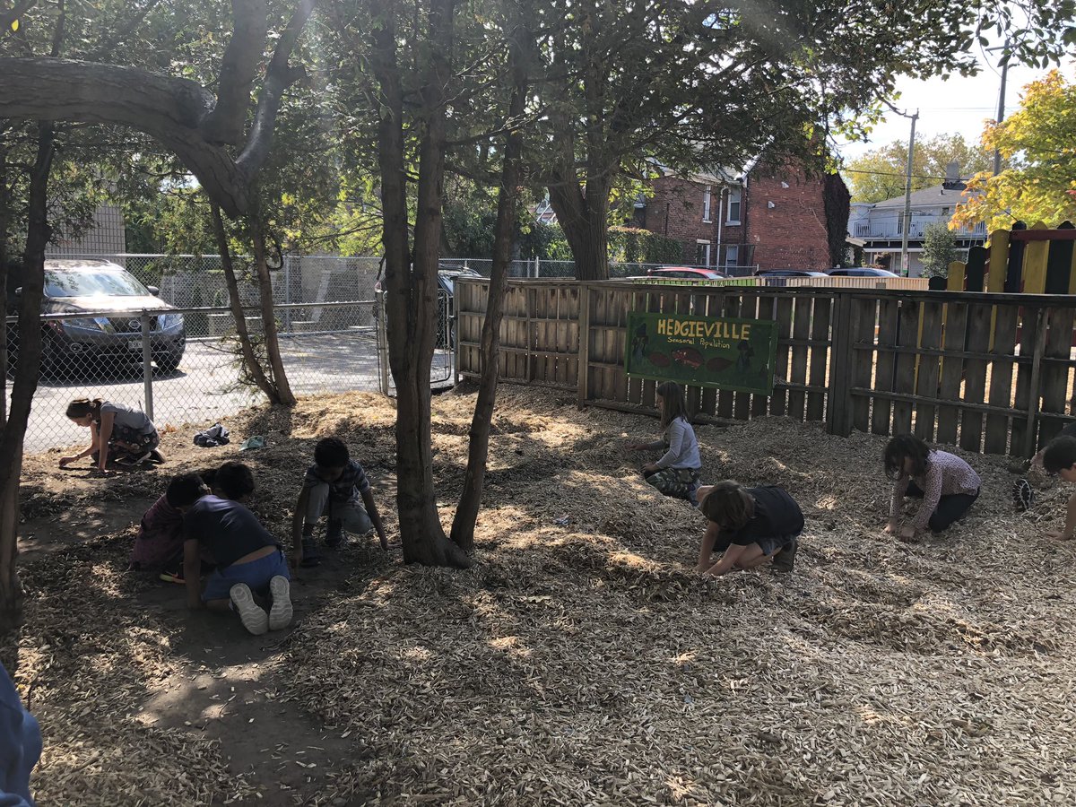 CentralPS_LDSB's tweet photo. Hedgieville and Chippyville are well taken care of by their villagers. @LimestoneDSB #hedgieville #learnatcentral #seeyourselfinlimestone https://t.co/3V2LSTs4pT