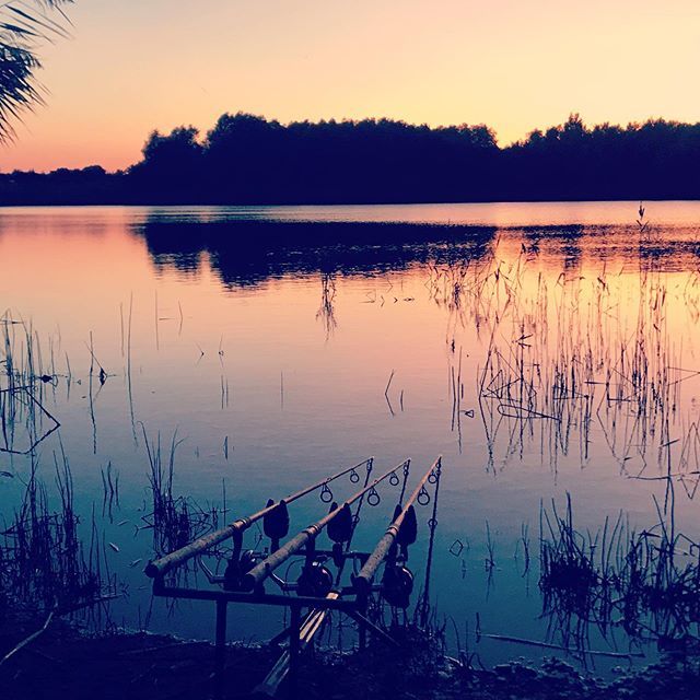 mollycarp_33's tweet image. Night 2. Nice Tench this morning, loads of activity, no carp as yet. Beautiful sunset again tonight #eatsleepfishrepeat #femaleangler #girlsfishtoo #girlsthatfish #fishinguk #carpfishing  #banklife #carp life #thatscarpy #carpangling #carpgirlz #carpcrossinggirls