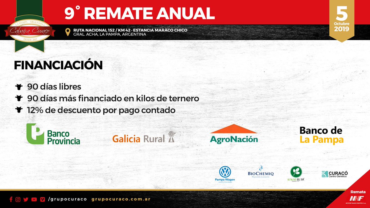 🟡 15 días para nuestro 9° Remate Anual 🗓️
🟢 Financiación 💵💳 ☑️
🟠 Conocé más información en 👉 rematecuraco.com
.
#GrupoCuraco #Remate #LaPampa #AberdeenAngus #Toro #Pedigree #Vaquillona #Ternera #Ternero #Vaca #PuroControlado #Genetica #Ganaderia