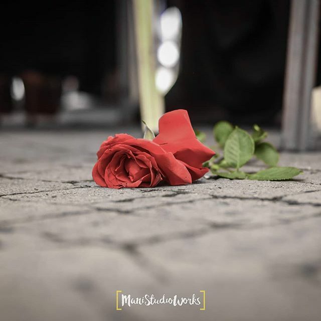 ManiStudioWorks's tweet image. When your love went away... 🥀.
.
.
.
.
.
#igkenya #vscokenya #picoftheday ift.tt/2IfYZAU