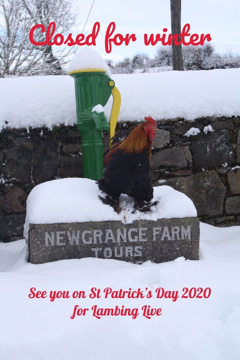 NewgrangeFarm (@newgrangefarm) on Twitter photo 