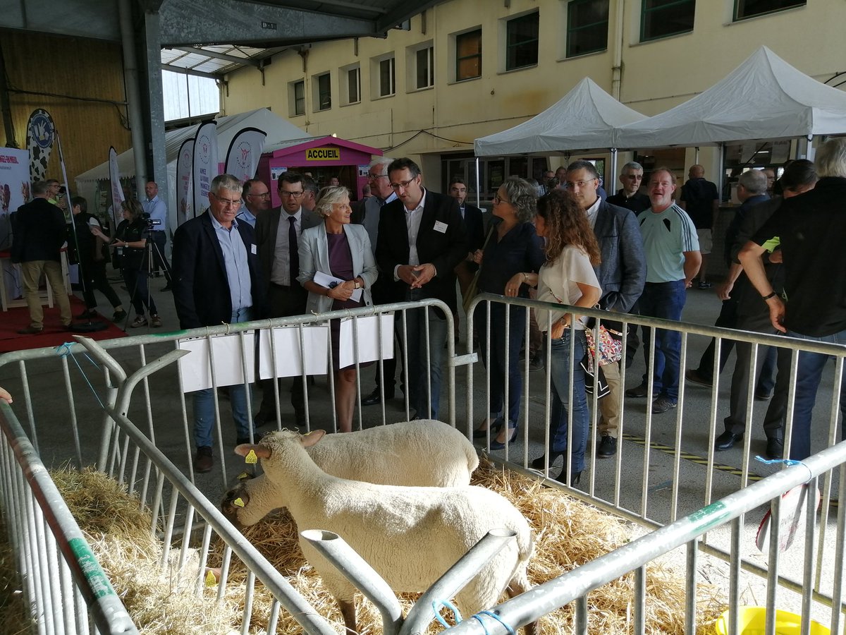 AlbertBOIVIN's tweet photo. Terre et Terroirs...
Festival de l'Élevage et de la Gastronomie, Marché aux Bestiaux de Parthenay.
#Terreterroirs
#élevagetgastronomie
#MarchéauxBestiaux
#Parthenaises
#Parthenay
#CapitaledeLaGâtine
#EspritGâtine https://t.co/lSwUbndg83