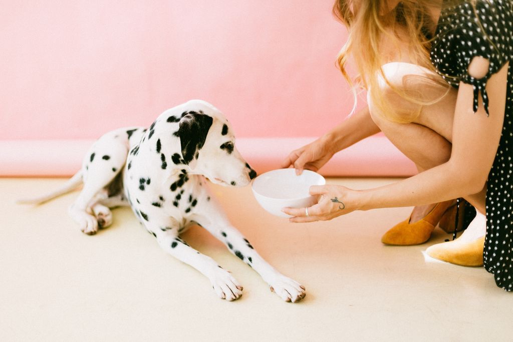 Wat is compleet voeren? Lees het hier: bit.ly/2MRNoLh #voeding #huisdier