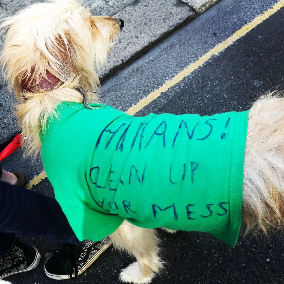 interpl8's tweet image. "Humans clean up your mess" #climatestrike#brighton