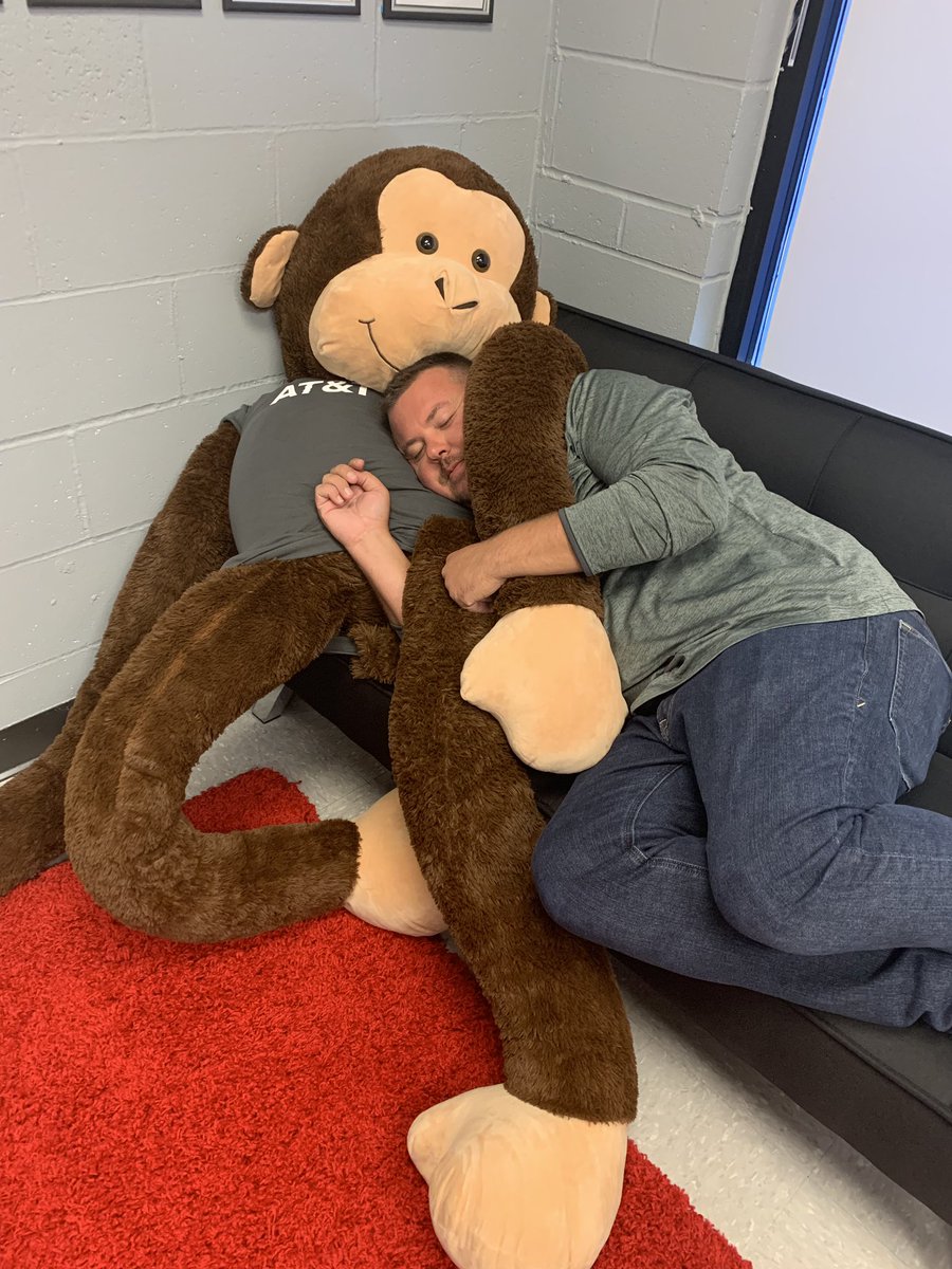 Just a typical afternoon doing store visits with Vitale. 

Look up from the sales floor, haven’t seen him in a while. Walk to the back. And there you have it. 

#KAMO #Hunting4Number1 #Hunting4aNap