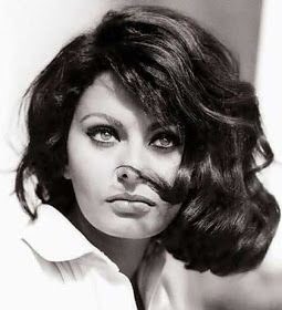 Happy 85th birthday to the iconic Sophia Loren! 🌹 🇮🇹 I really need to see more of her films. 
#birthdaygirl #tribute #vintage #blackandwhite #oscarwinner #italianactress #italianfilms #classicactress #classicmovies #SophiaLoren