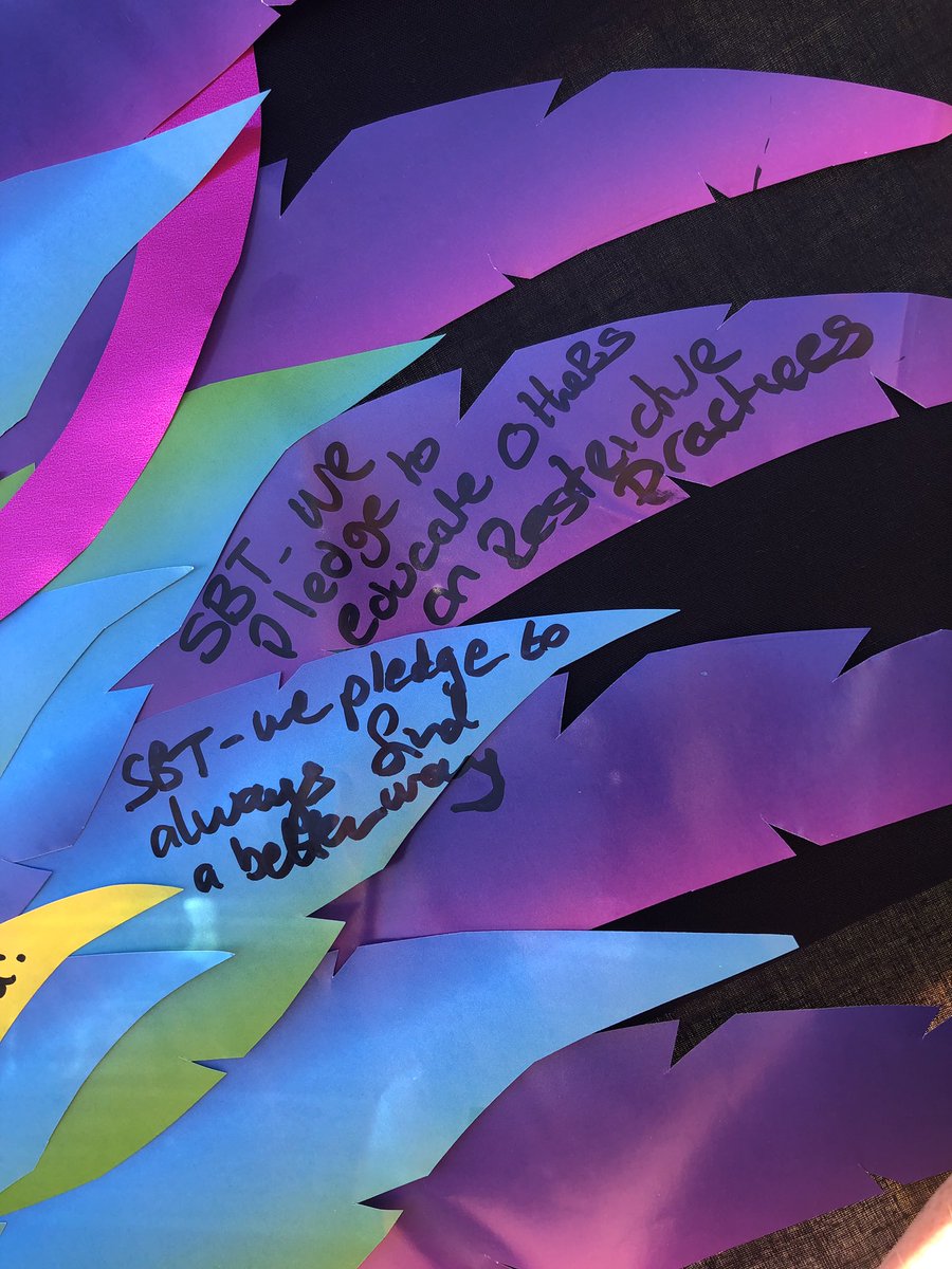 Our #sbt PBS Pledges #reducingrestrictivepractices #alwaysfindingabetterway <a href="/PbSfestival/">PBSfestival</a> #pbsfestivalsbt #pbsfestival