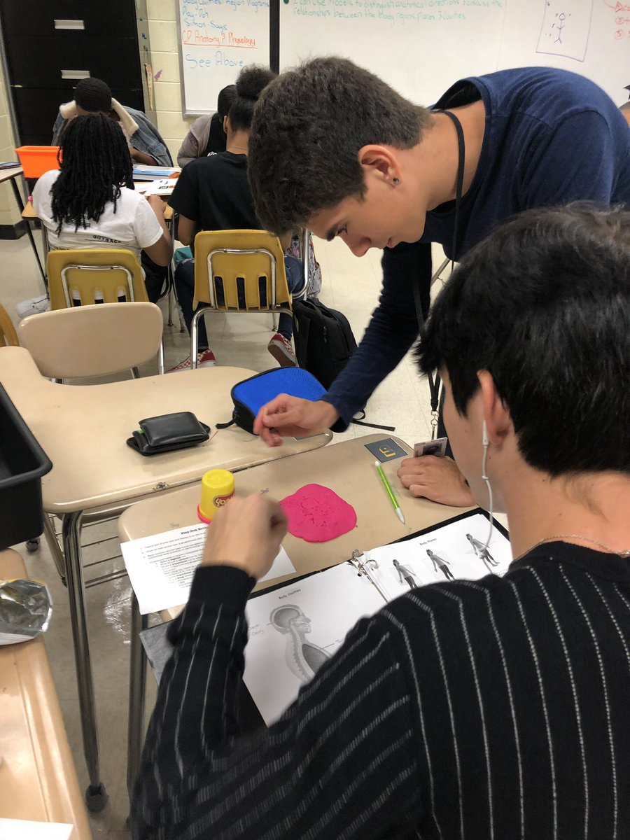 XCoachLew's tweet photo. Anatomy &amp; Physiology students learning anatomical directions and planes by “dissecting” play-doh men! #pridein5 @IrmoHigh https://t.co/z0GXni93Y2