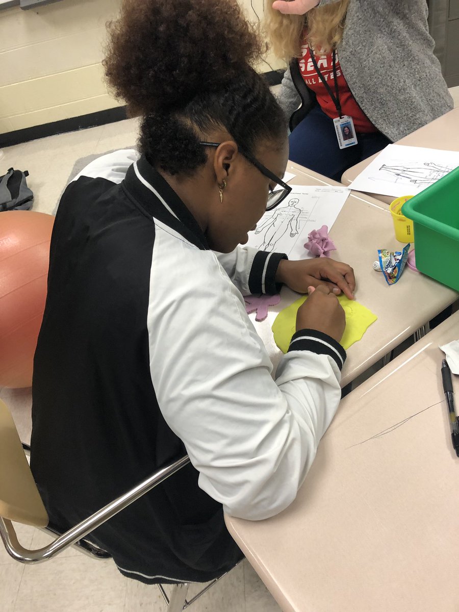 XCoachLew's tweet photo. Anatomy &amp; Physiology students learning anatomical directions and planes by “dissecting” play-doh men! #pridein5 @IrmoHigh https://t.co/z0GXni93Y2