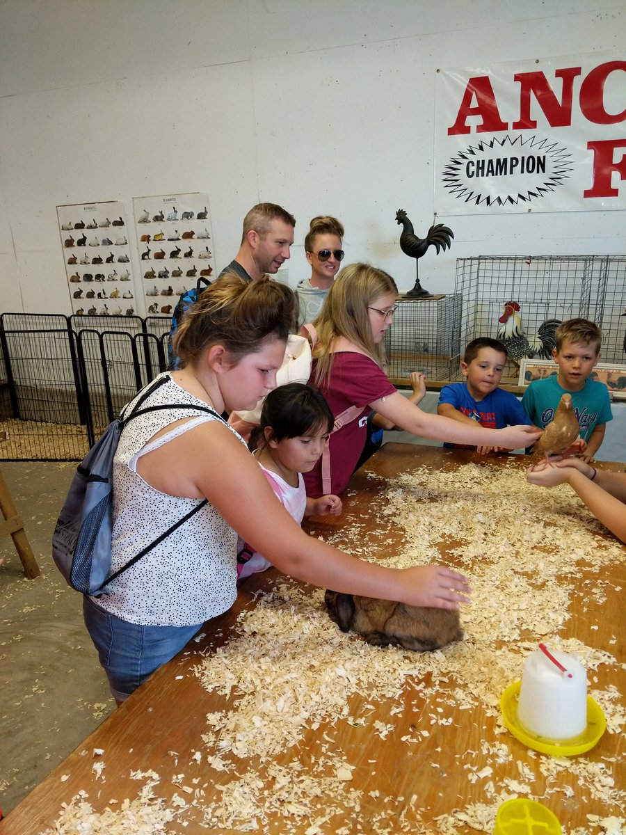 MrCampbell2's tweet photo. We had a great time at The @AncasterFair cc @GEDSB https://t.co/43FzQyDaJm