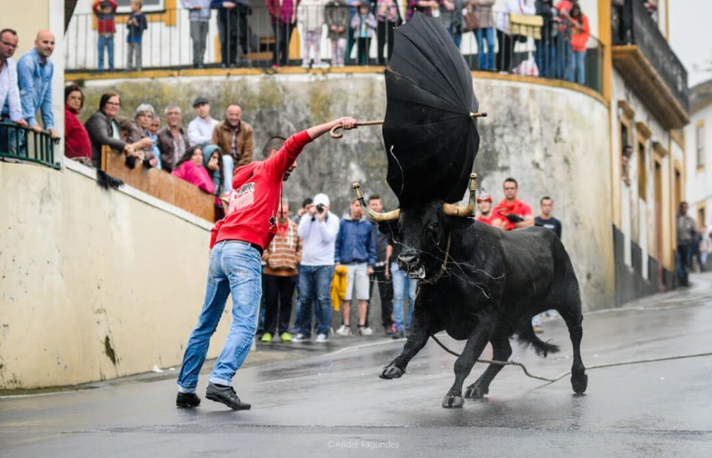 NareshSeedscom's tweet photo. Running of the bulls https://t.co/YlexwDV7Xv https://t.co/fA7wGR4AXZ