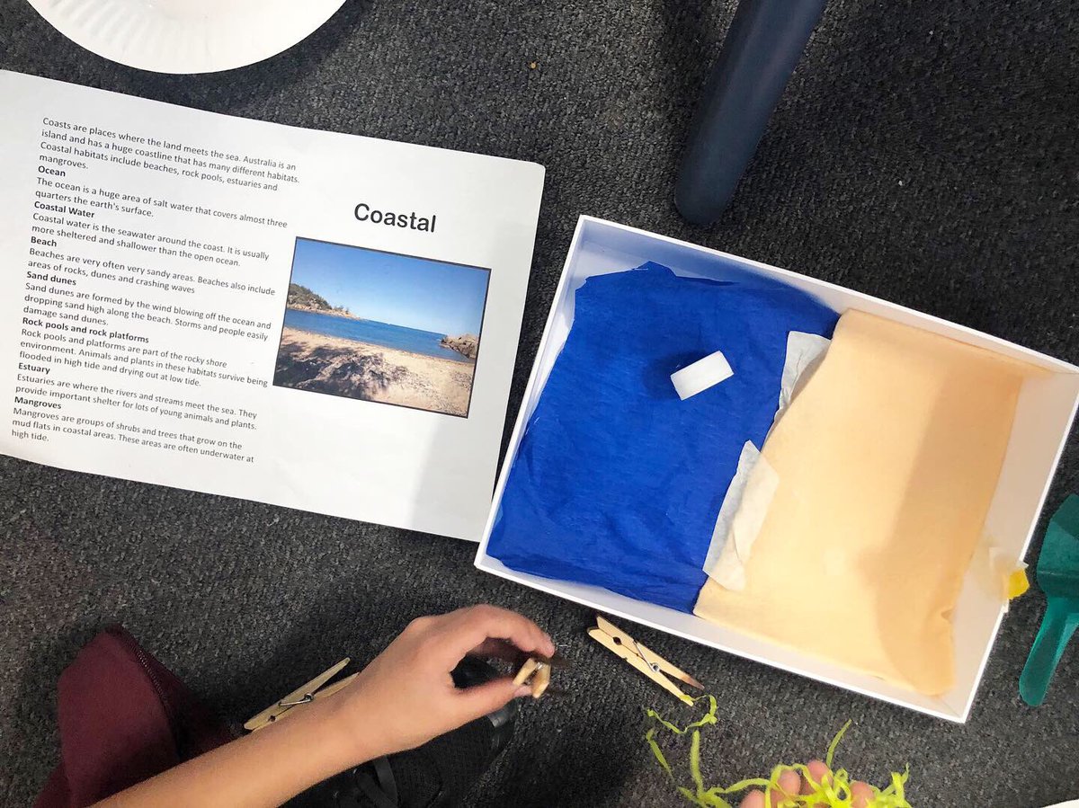 nicolaavara's tweet photo. Working hard in Science to recreate habitats we have been researching about! https://t.co/fzM4nXycOQ