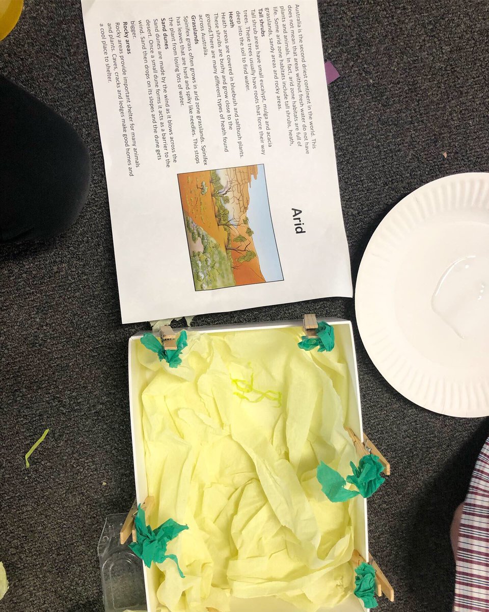 nicolaavara's tweet photo. Working hard in Science to recreate habitats we have been researching about! https://t.co/fzM4nXycOQ