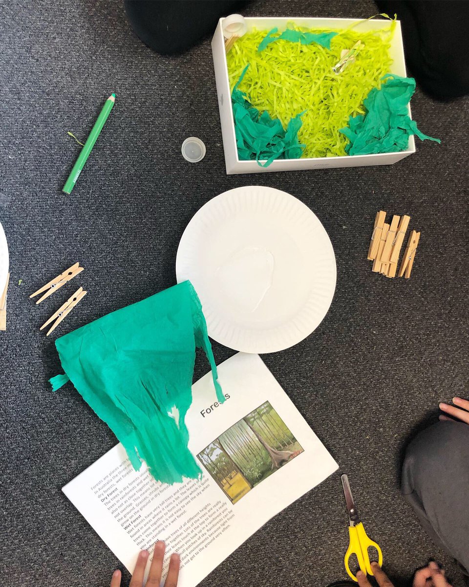 nicolaavara's tweet photo. Working hard in Science to recreate habitats we have been researching about! https://t.co/fzM4nXycOQ