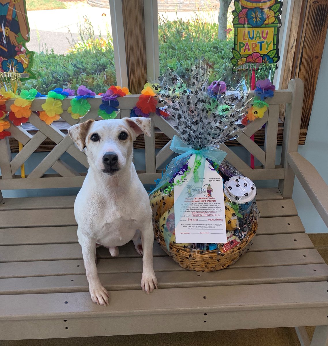 Holiday Barn On Twitter Furby Is Honored To Present The