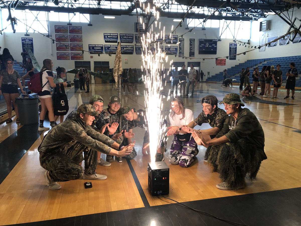 Cactus Shadows Nest tweet media