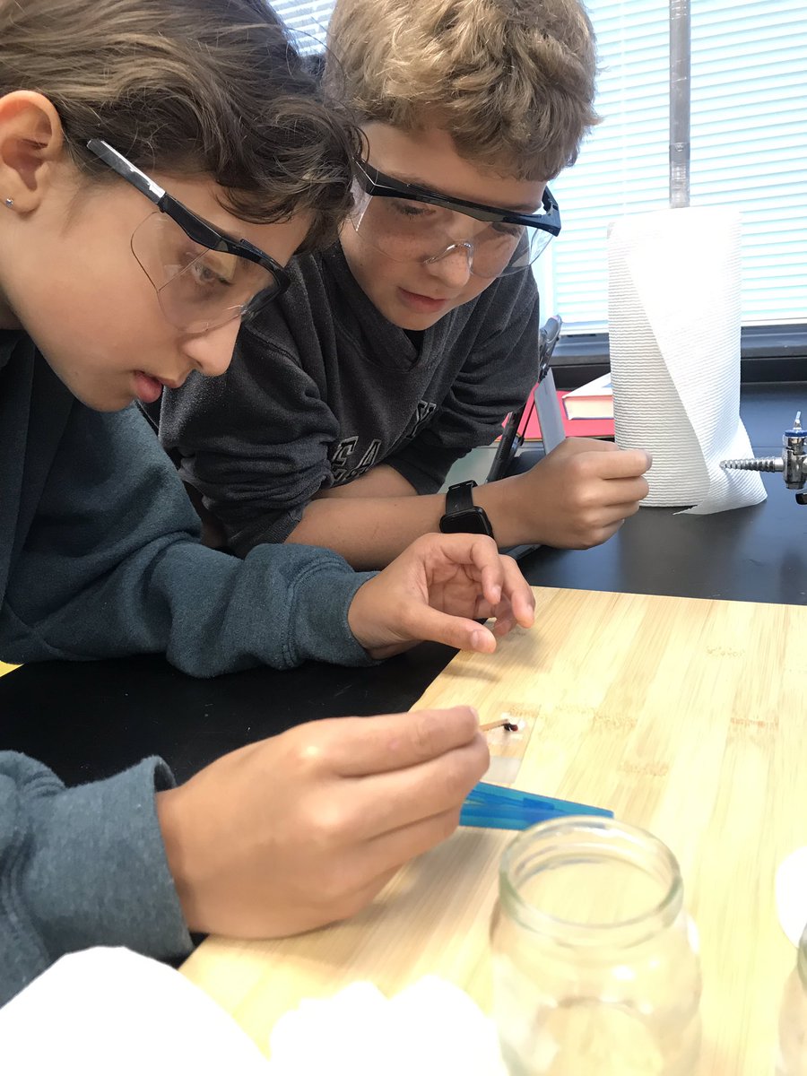 AsMcYi7's tweet image. More serious work in the lab - staining and observing onions. This group also did a FANTASTIC job dismantling the activity &amp;amp; putting away lab supplies. #cleanlab #solucky #whatagroup