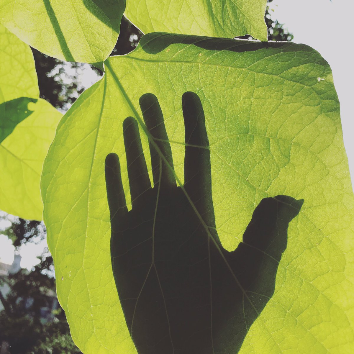 ‘We are nature’ - Jesse, g3