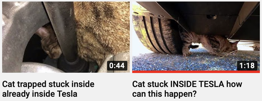 Productions33's tweet photo. @satswagforall @RealJohnDough @hellocristinah @Tesla @elonmusk @ArianaGrande @vwCLiF Thanks Baron. I agree with you THAT TESLA IS RESPONSIBLE FOR KILLING CATS AND IGNORING US!!

https://t.co/X8FeKrXiYe https://t.co/EfJJL0ninv