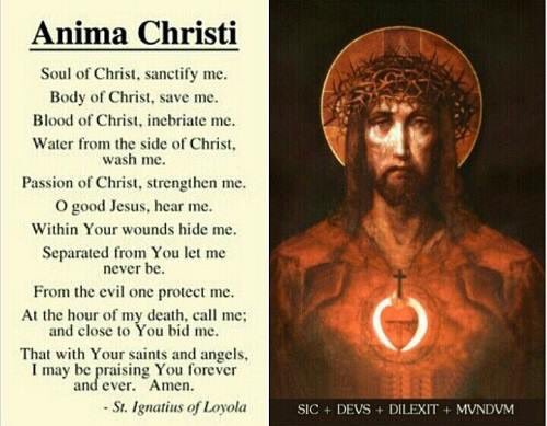 Elizabe50102697's tweet photo. Prayer after Holy Communion. #BodyofChrist #Breadoflife #Jesus #prayer #Catholic #Catholictweeter https://t.co/k94b10TbZq