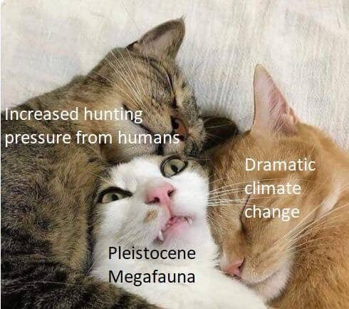 RyanKMcNutt's tweet image. Revising lectures for World #Archaeology. Not quite resisting the temptation to make my PowerPoints all memes, since my movie references are met with blank stares. And a student asked me who Jean Claude Van Damme was. . .
#codeswitching