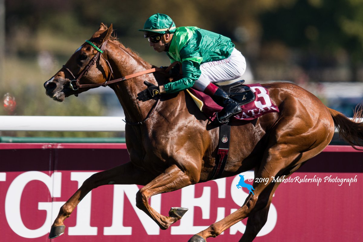 まことルーラーシップ בטוויטר G2ニエル賞を勝った仏ダービー馬ソットサスとc デムーロj シユーニ産駒のソットサス デビューはマイル戦でしたけど2400mまで順調に距離延長に成功 最後の鋭い脚見てるとエネイブルの最大のライバルはこの馬なんじゃないかなと思う 要