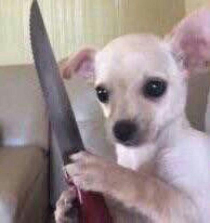 GabiBla's tweet photo. Minhas amigas indo na casa de outras pessoas //// Eu vendo isso https://t.co/hQDcdBC8Zm