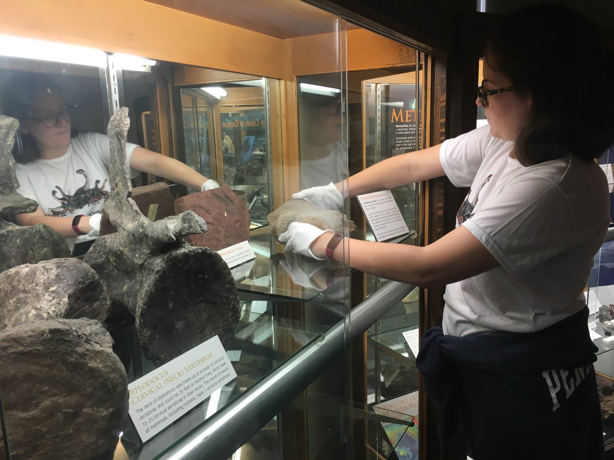 SoMuSE3's tweet photo. Moving Day @PSUEMS Museum. SoMuSE reps learn the ins and outs of object handling and help with moving objects and setting up new cases. Keep calm, carry on. Claire Cleveland and Jane Cook teamwork a large fossil specimen. Gabi Harris moves the ichnofossils cabinet. https://t.co/GVjM4NP8gK