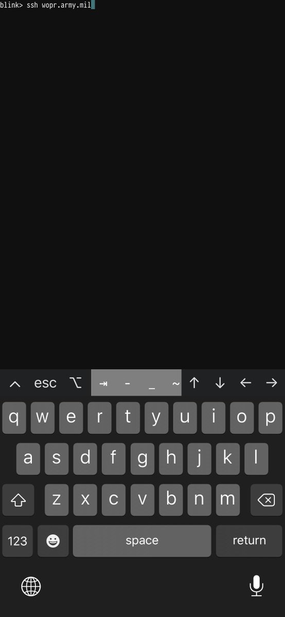 tino's tweet photo. @BlinkShell AIDA64 appears unaware of iPhone12,3; reports screen resolution and most other things as 0.  Screenshots (1125x2436) look fine because the screen cap utility doesn’t know the notch is there. https://t.co/i4zEExyNc3