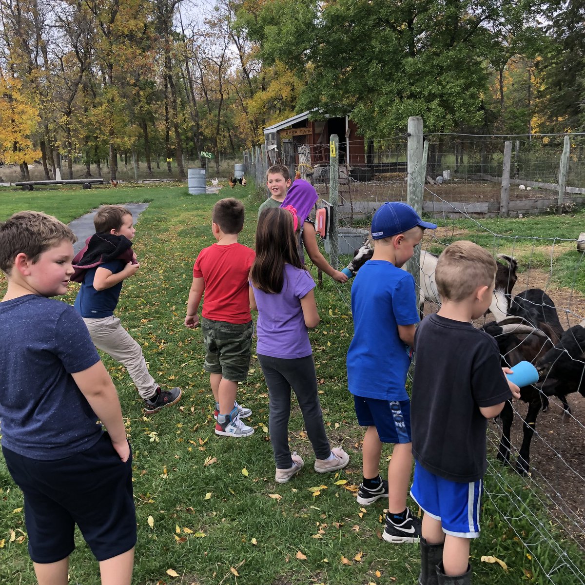 room3adventures's tweet photo. More awesome pictures from our field trip to the Arnes Farmer’s Market @WpgBeachSchool https://t.co/TxDO3s4jlh